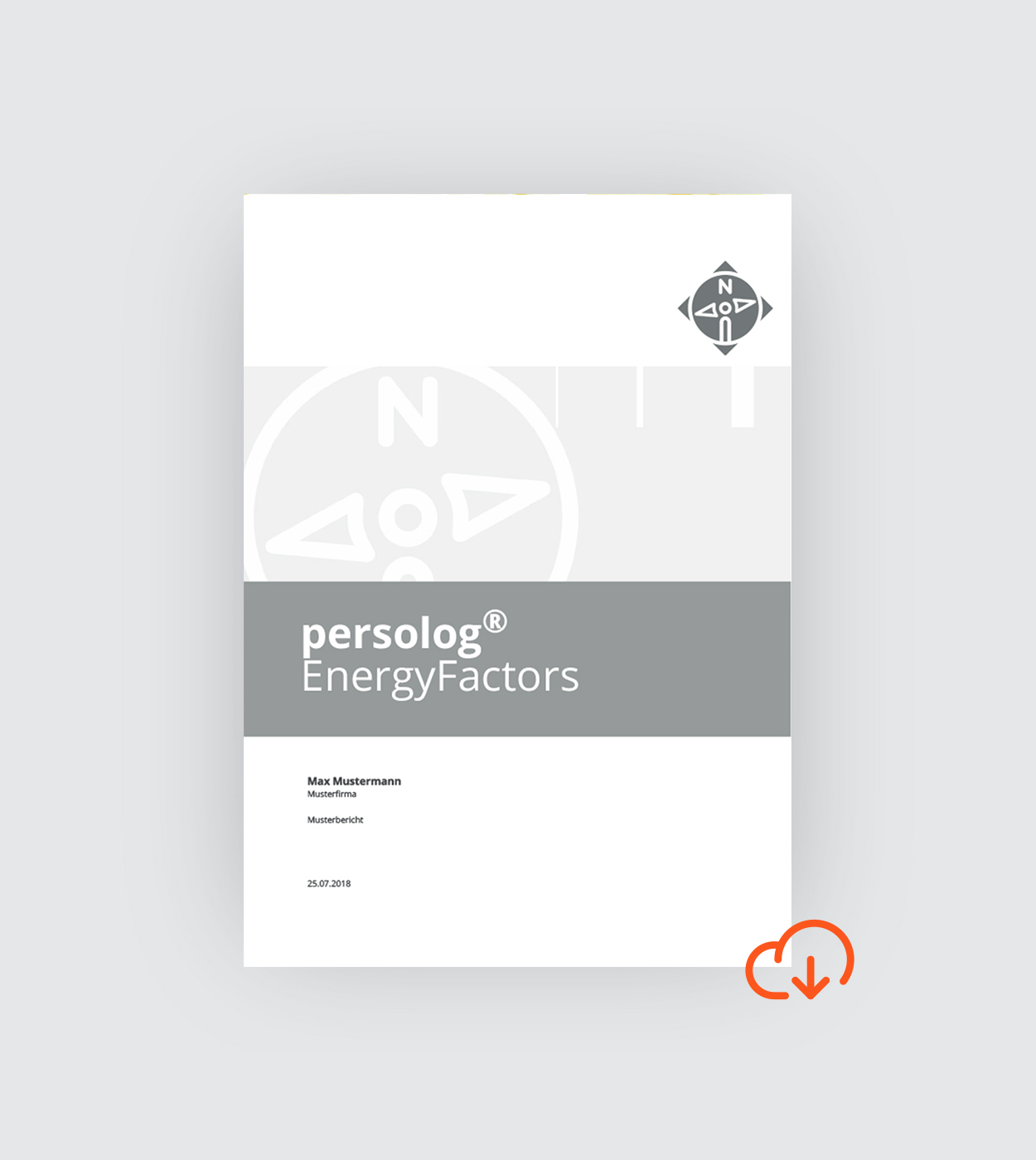 EnergyFactors-Profil online | KAIROS Partner AG
